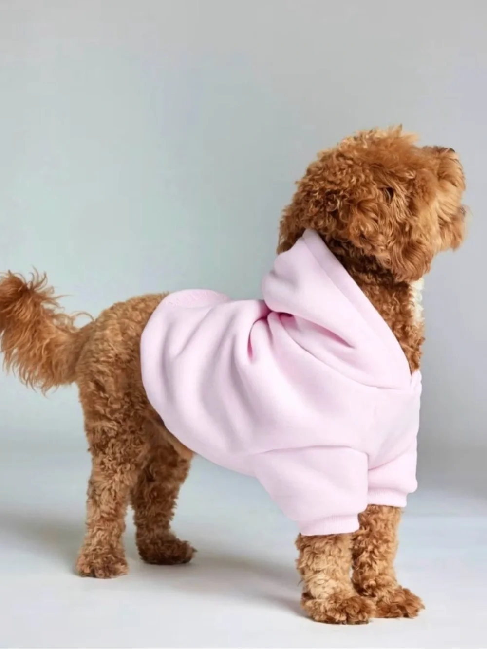 Comfrt Minimalist Paw Hoodie Limited Edition Pink NIP Sz Small Ret $50